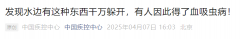 一旦接触，10秒即可感染！发现这种东西赶紧