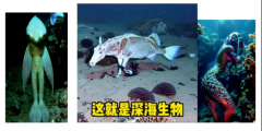 我，首批女潜航员，下过海底6000米